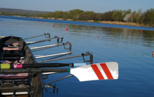 MANTES LIFA2